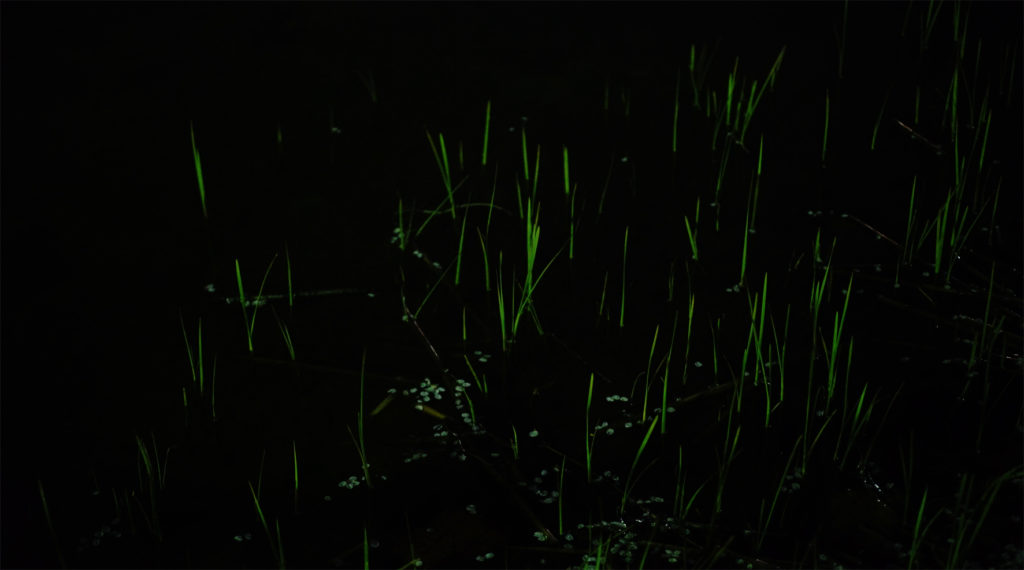 個展「How Many Nights」 / 小説第二弾「暗闇を見る」